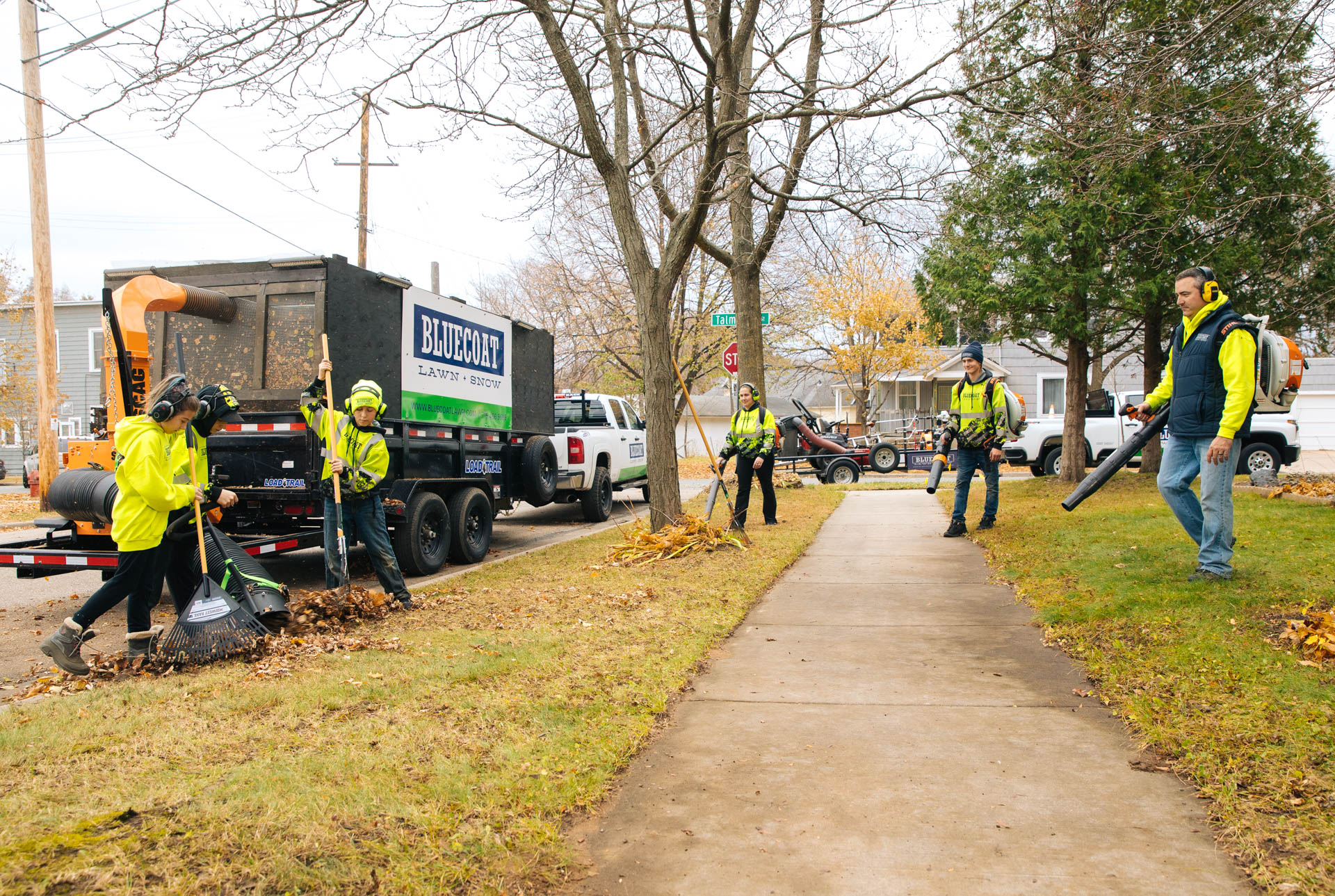 BLUECOAT Tree Servi in Eau Claire and Altoona